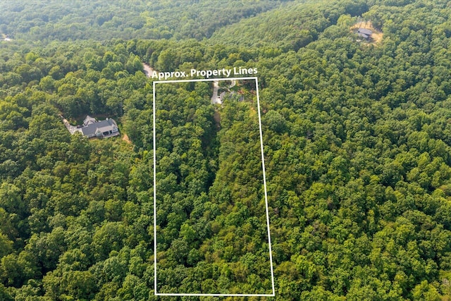 12 Shivas Crst, Rising Fawn, GA 30738 - photo 47