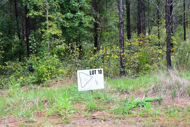 1140 Highgate Pt Unit 10, Soddy Daisy, TN 37379 - photo 2