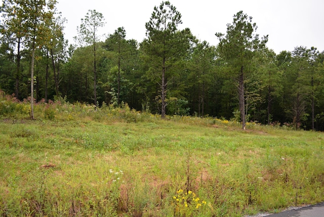 1140 Highgate Pt Unit 10, Soddy Daisy, TN 37379 - photo 4