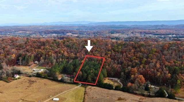 000 County Road 67, Riceville, TN 37370 - photo 1