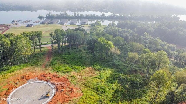 5720 Old Dogwood Trl, Loudon, TN 37774 - photo 2