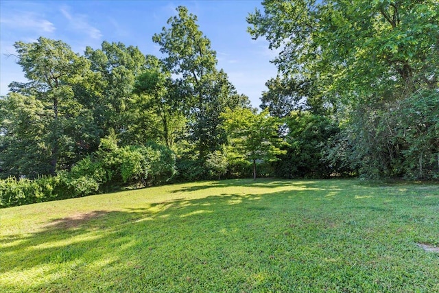 26 Pine Hill Dr, Rossville, GA 30741 - photo 19