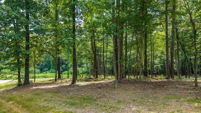 00 Oak Ln, Sweetwater, TN 37874 - photo 2