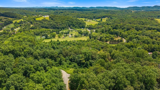 00 Oak Ln, Sweetwater, TN 37874 - photo 11