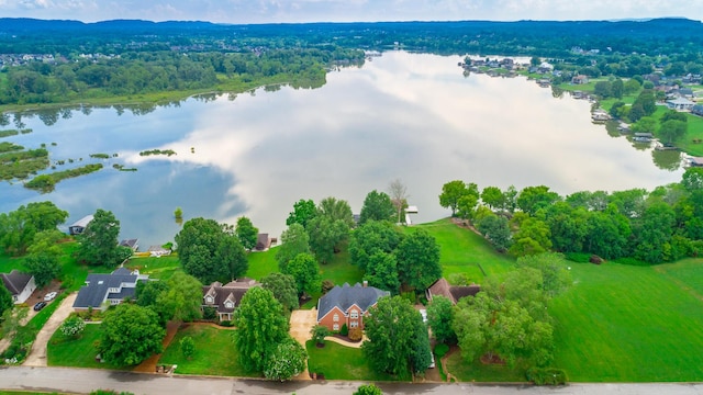 8004 Turtle Ln, Ooltewah, TN 37363 - photo 91