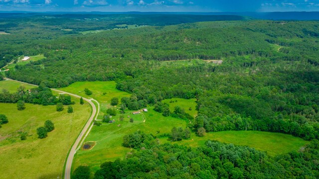 7782 Brockdell Rd, Pikeville, TN 37367 - photo 4