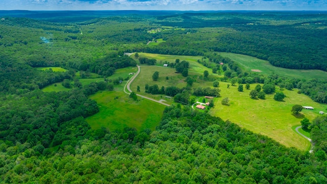 7782 Brockdell Rd, Pikeville, TN 37367 - photo 13
