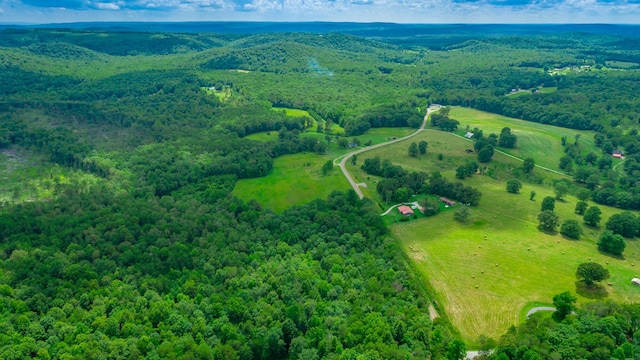 7782 Brockdell Rd, Pikeville, TN 37367 - photo 14