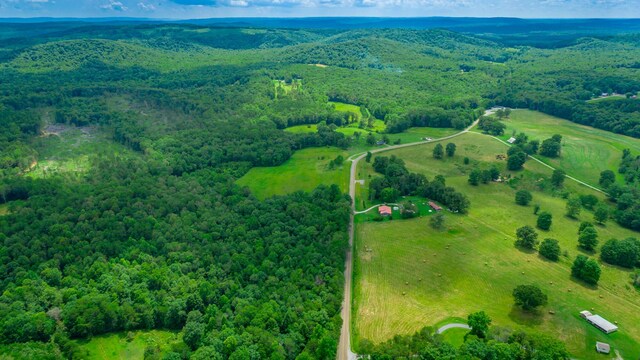 7782 Brockdell Rd, Pikeville, TN 37367 - photo 15