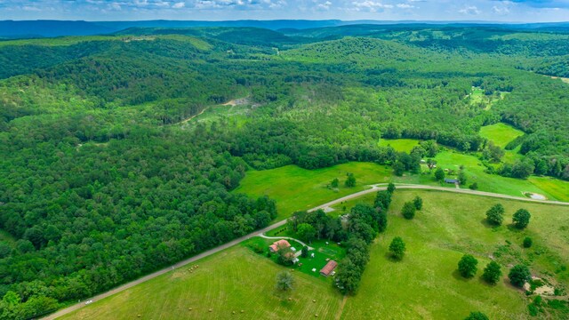 7782 Brockdell Rd, Pikeville, TN 37367 - photo 17