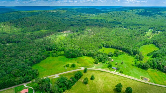 7782 Brockdell Rd, Pikeville, TN 37367 - photo 18