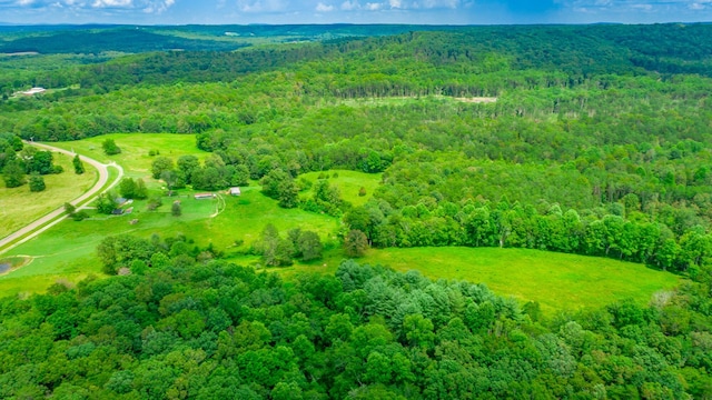 7782 Brockdell Rd, Pikeville, TN 37367 - photo 22