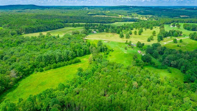 7782 Brockdell Rd, Pikeville, TN 37367 - photo 24