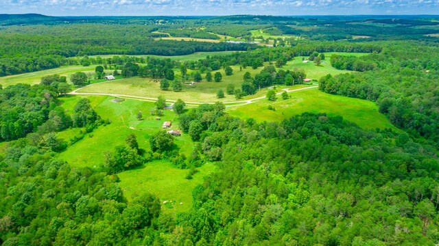 7782 Brockdell Rd, Pikeville, TN 37367 - photo 26