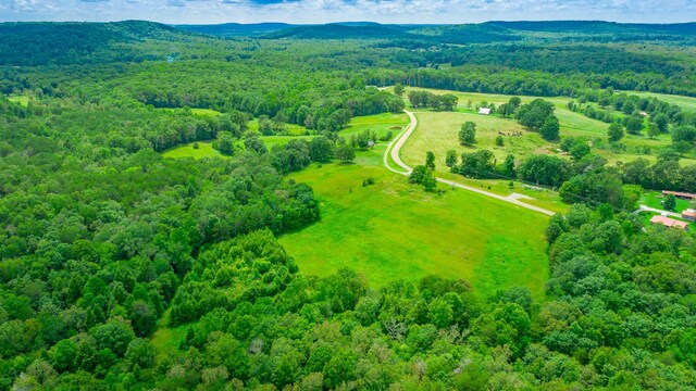 7782 Brockdell Rd, Pikeville, TN 37367 - photo 30