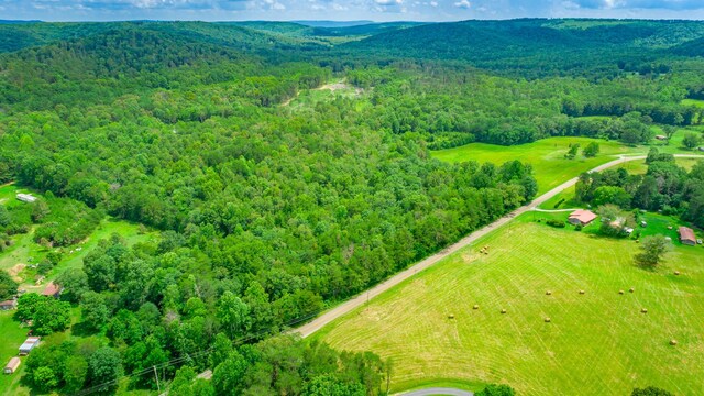 7782 Brockdell Rd, Pikeville, TN 37367 - photo 34