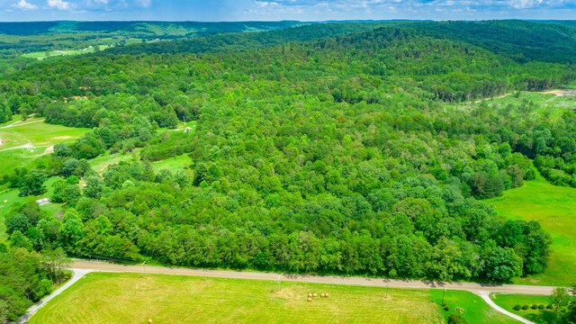 7782 Brockdell Rd, Pikeville, TN 37367 - photo 35