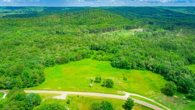 7782 Brockdell Rd, Pikeville, TN 37367 - photo 36