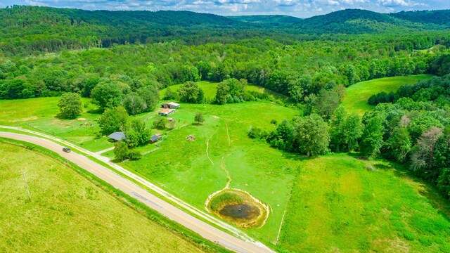 7782 Brockdell Rd, Pikeville, TN 37367 - photo 40