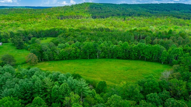 7782 Brockdell Rd, Pikeville, TN 37367 - photo 42