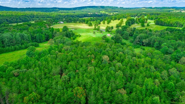 7782 Brockdell Rd, Pikeville, TN 37367 - photo 44