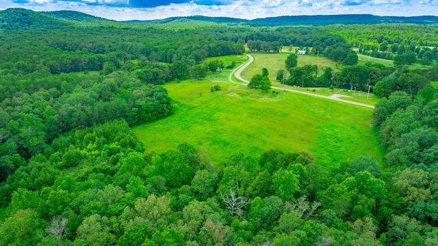 7782 Brockdell Rd, Pikeville, TN 37367 - photo 49