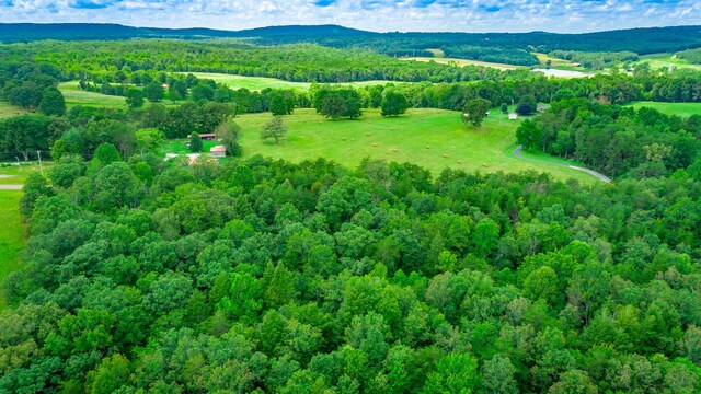 7782 Brockdell Rd, Pikeville, TN 37367 - photo 50