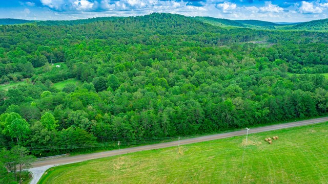 7782 Brockdell Rd, Pikeville, TN 37367 - photo 53