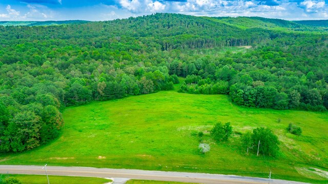 7782 Brockdell Rd, Pikeville, TN 37367 - photo 54