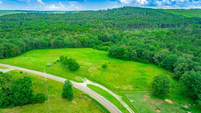 7782 Brockdell Rd, Pikeville, TN 37367 - photo 55
