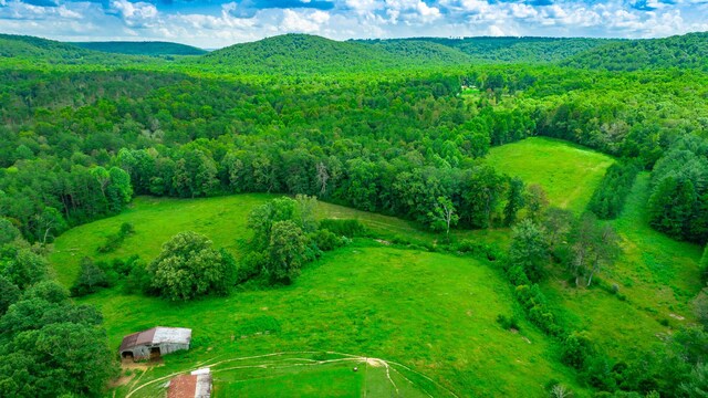 7782 Brockdell Rd, Pikeville, TN 37367 - photo 56