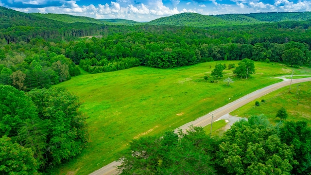 7782 Brockdell Rd, Pikeville, TN 37367 - photo 59