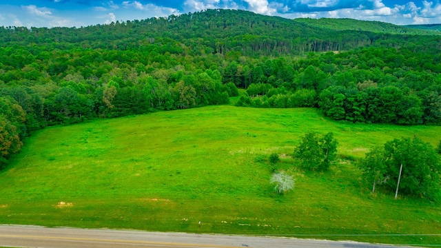 7782 Brockdell Rd, Pikeville, TN 37367 - photo 60