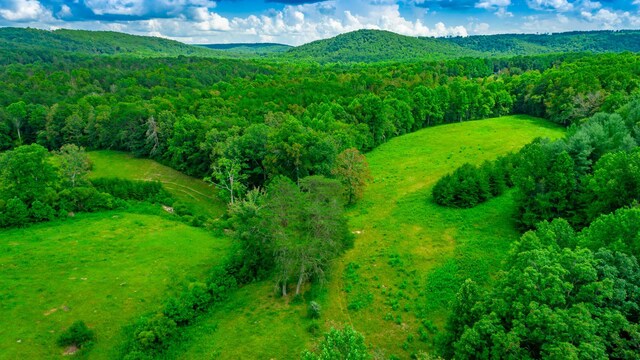 7782 Brockdell Rd, Pikeville, TN 37367 - photo 63
