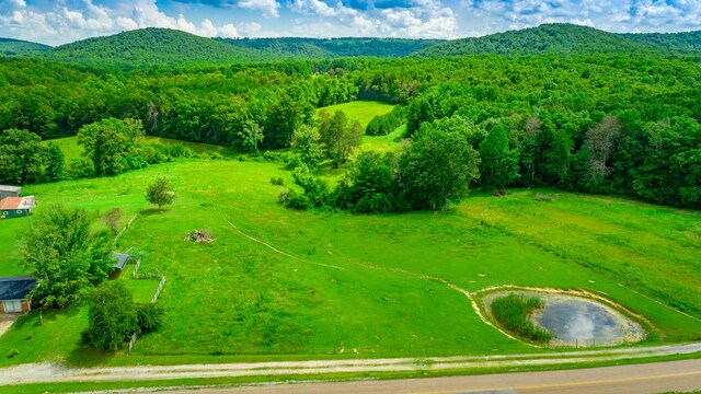 7782 Brockdell Rd, Pikeville, TN 37367 - photo 65