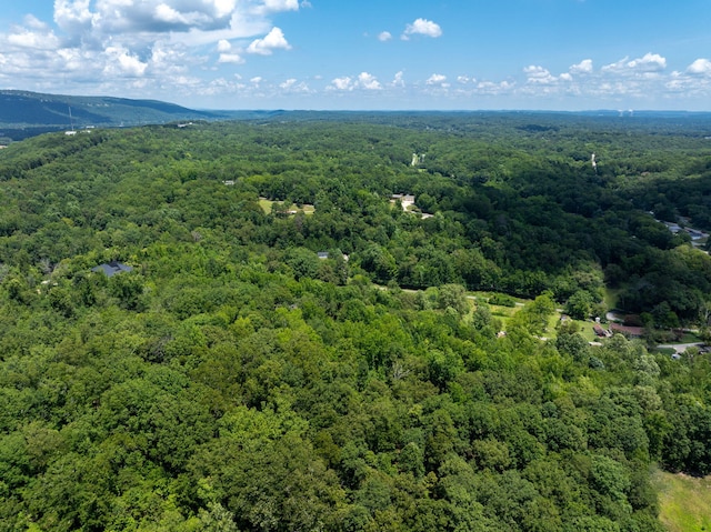 0 Friendship Ln, Hixson, TN 37343 - photo 6