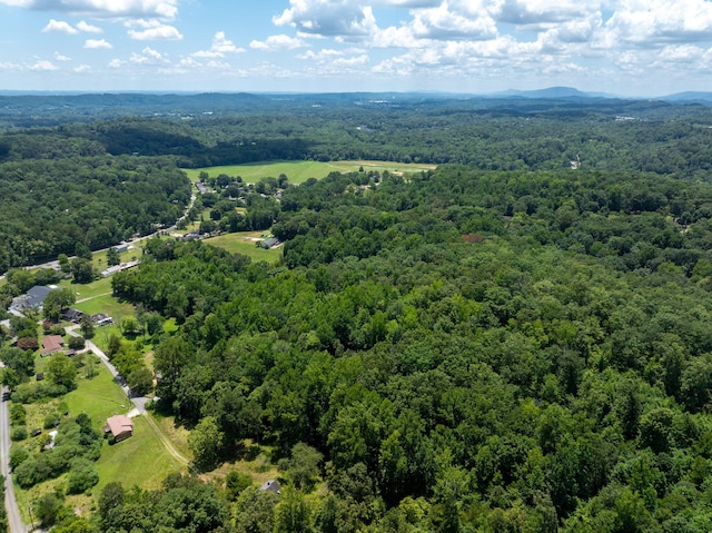 0 Friendship Ln, Hixson, TN 37343 - photo 7
