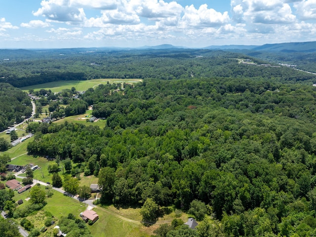 0 Friendship Ln, Hixson, TN 37343 - photo 8