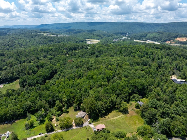 0 Friendship Ln, Hixson, TN 37343 - photo 12