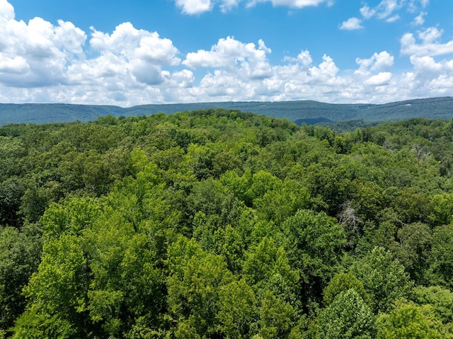 0 Friendship Ln, Hixson, TN 37343 - photo 14