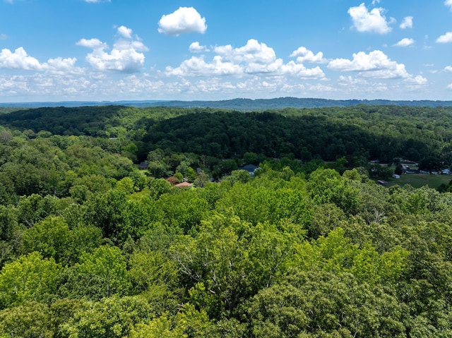 0 Friendship Ln, Hixson, TN 37343 - photo 15