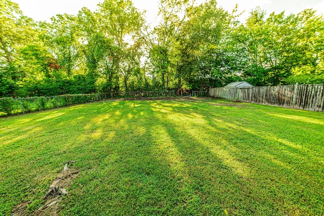 305 S Lovell Ave, Chattanooga, TN 37411 - photo 31
