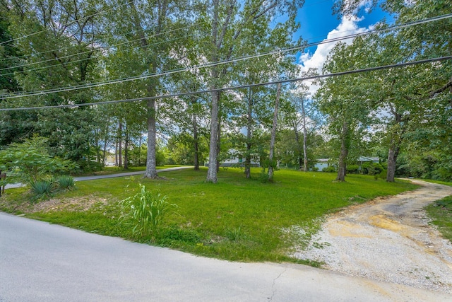 7422 Min Tom Dr, Chattanooga, TN 37421 - photo 54
