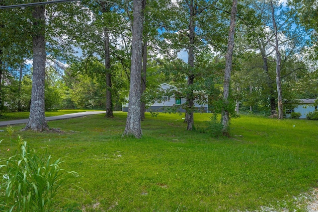 7422 Min Tom Dr, Chattanooga, TN 37421 - photo 55