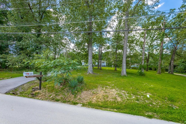 7422 Min Tom Dr, Chattanooga, TN 37421 - photo 56