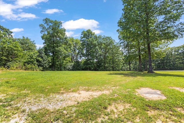 124 Scott Rd, Signal Mountain, TN 37377 - photo 35