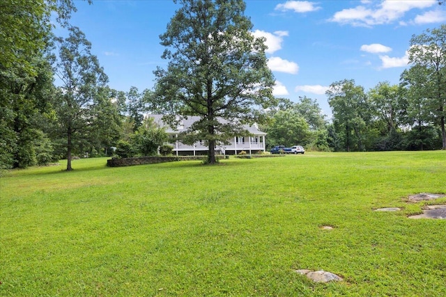124 Scott Rd, Signal Mountain, TN 37377 - photo 32
