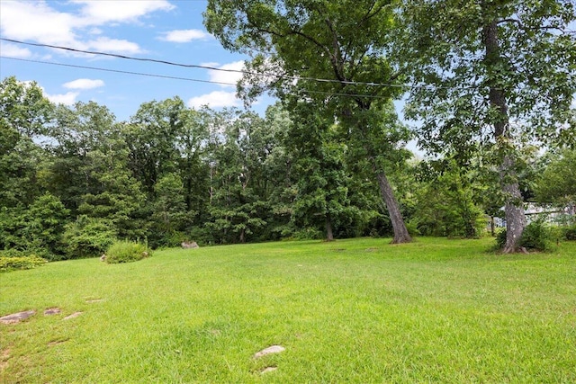 124 Scott Rd, Signal Mountain, TN 37377 - photo 36