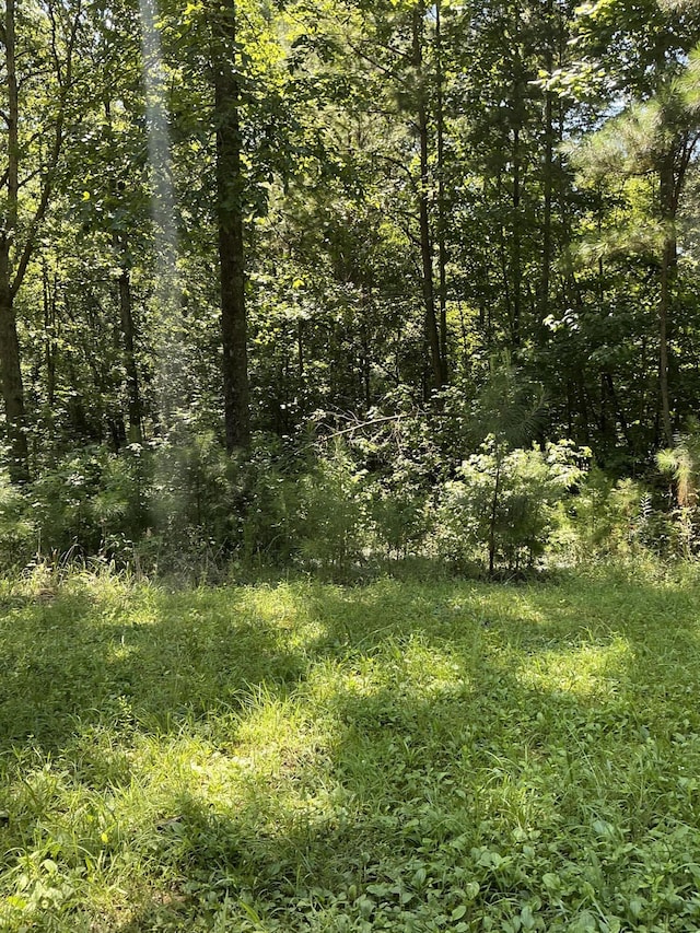 334 S Oakland Dr, Lafayette, GA 30728 - photo 4