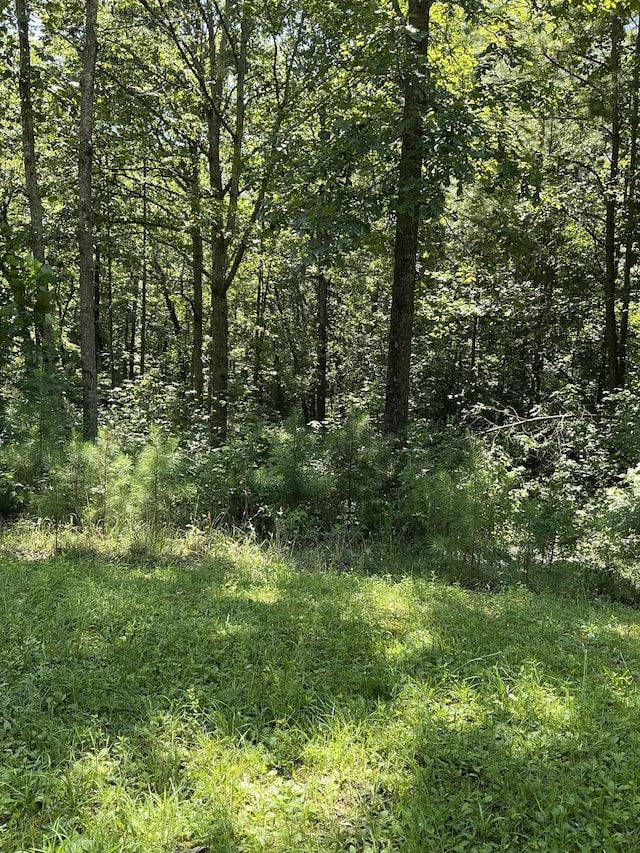 334 S Oakland Dr, Lafayette, GA 30728 - photo 6